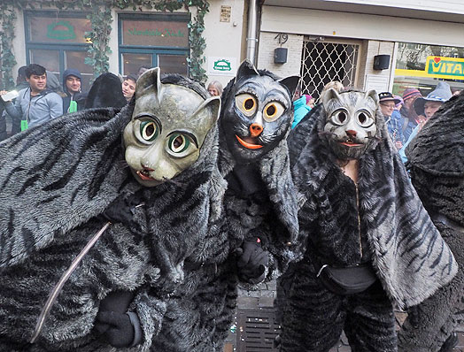 Umzug T&uuml;bingen 2016