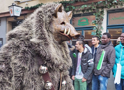 Umzug T&uuml;bingen 2016