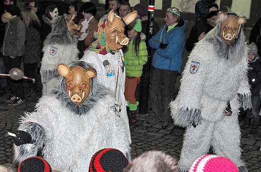 Jubil&auml;umsumzug Schlehengeister 2016